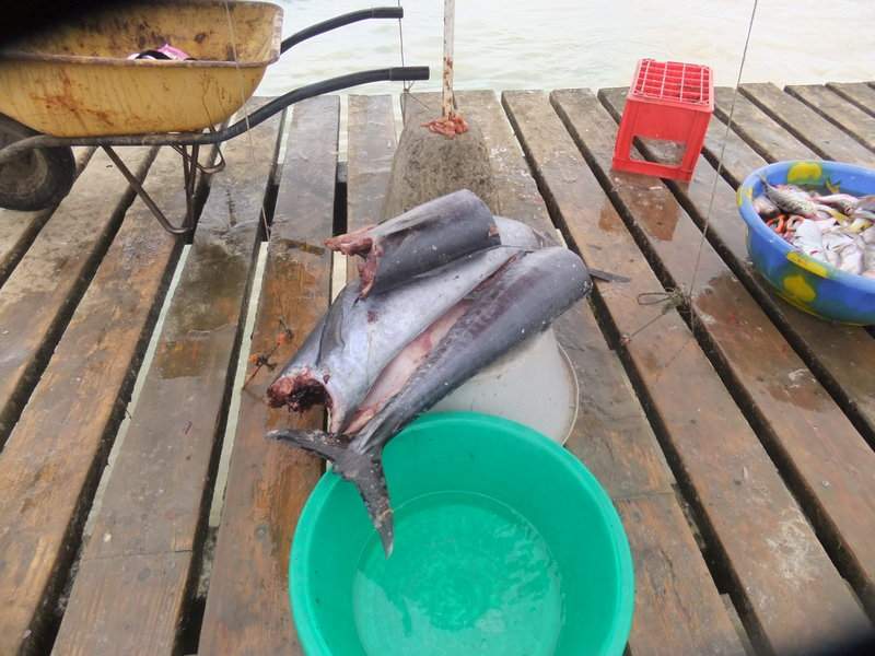 Pela ilha junto à praia8