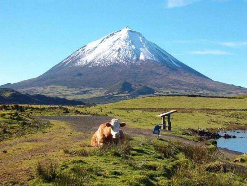 pico