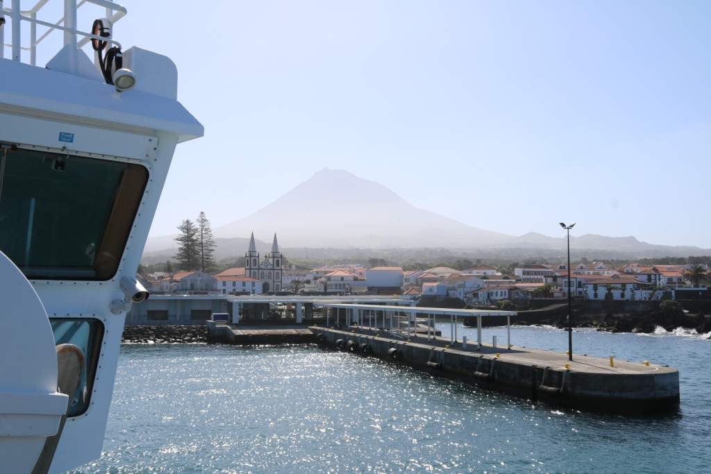Pico