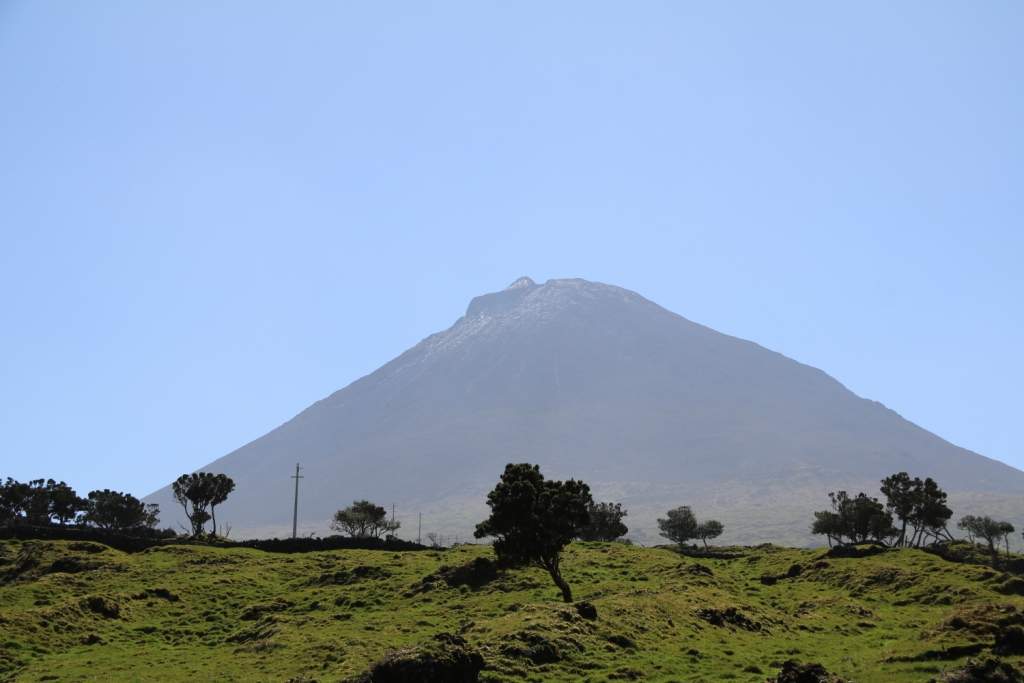 Pico