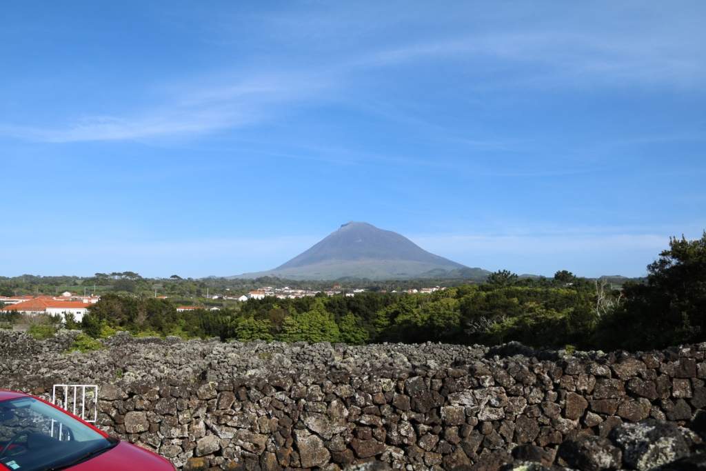 Pico