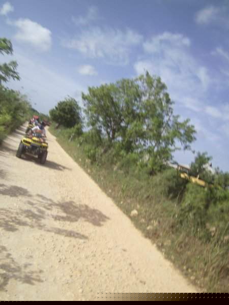 PICT0337