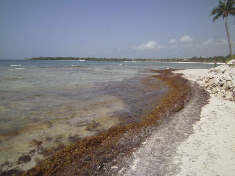 PICT0415