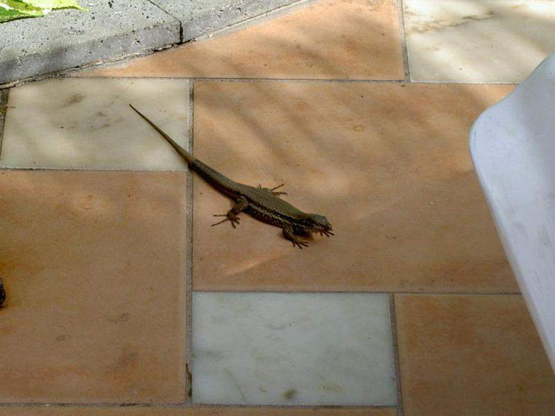 PICT4075.JPG