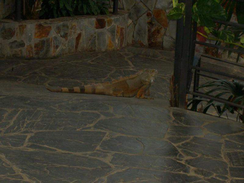 PICT4186.JPG