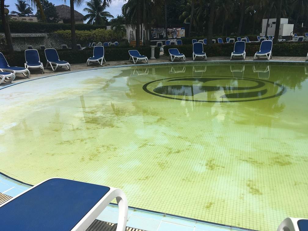 Piscina Para Crianças Com Fungos