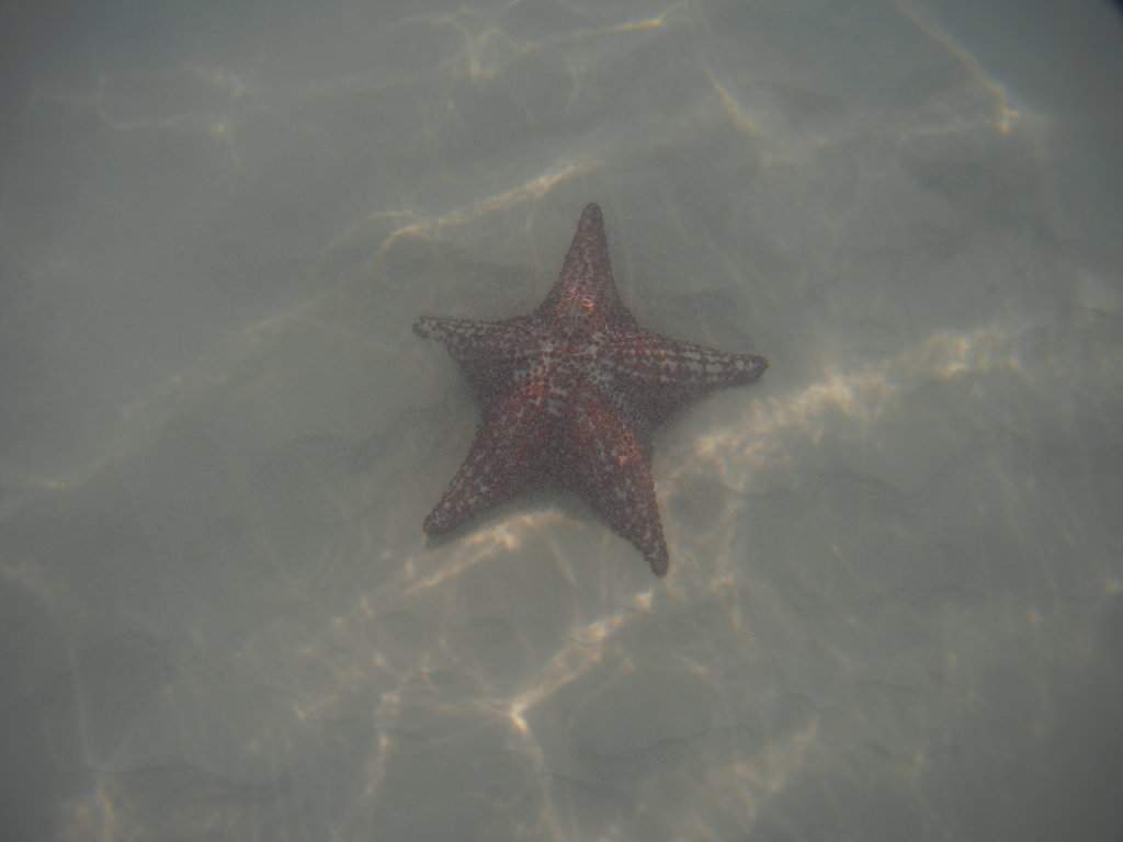 Piscinas Naturais