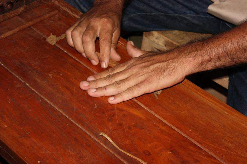 Plantações De Tabaco (14)