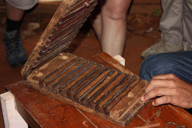 Plantações De Tabaco (15)