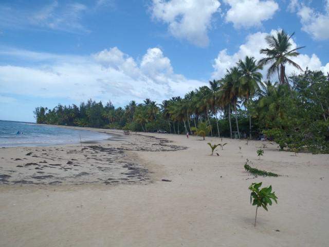 playa bonita