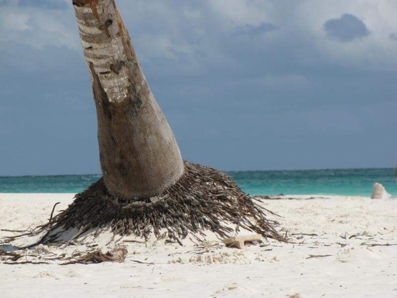 playa paraiso (2) (800x600)