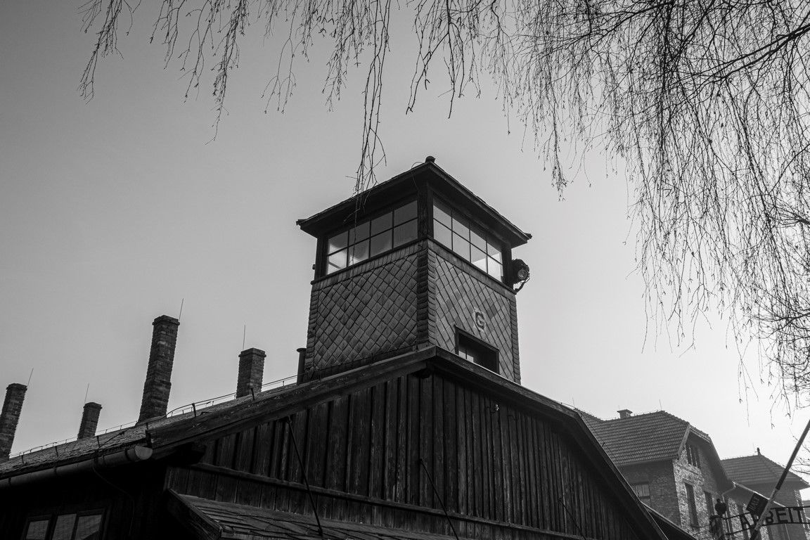 Polonia28 (portal).jpg