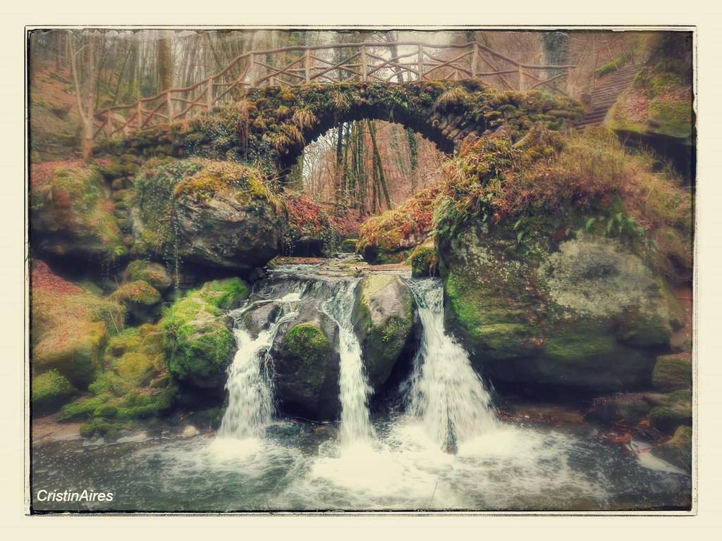 Ponte