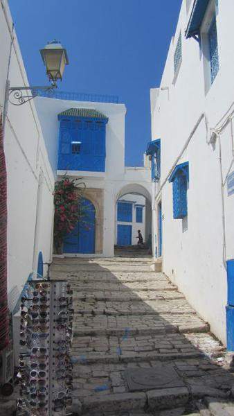 Povo Azul e Branco 5