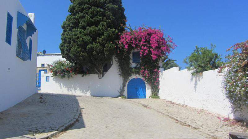 Povo Azul e Branco 6
