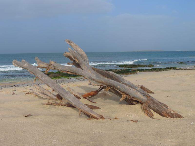 praia Carlota