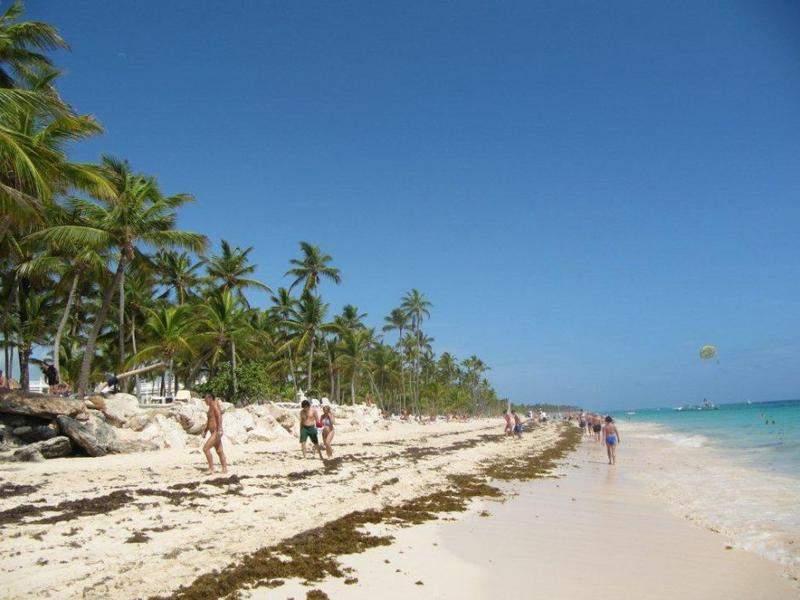 Praia (onde se vêem as algas que, nesta altura do ano, cobriam a restinga)