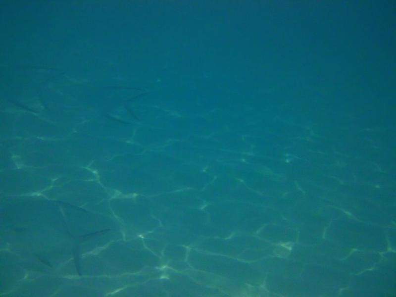 Praia RIU Tequila