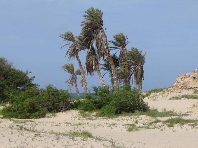 praia
