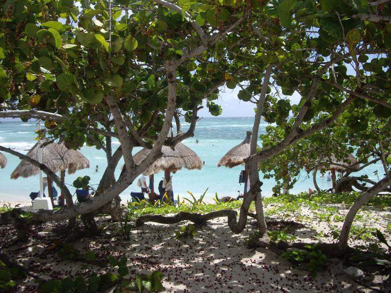 Praia3.JPG
