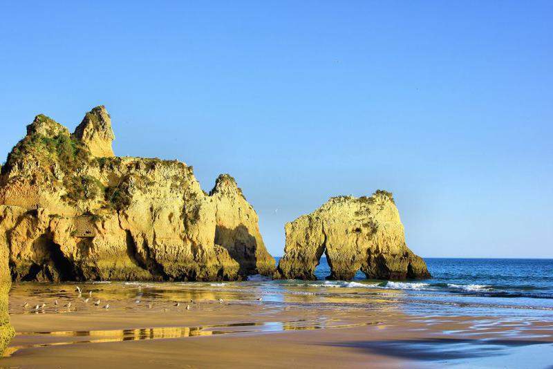 PRAINHA 013