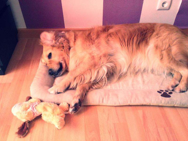 princesa