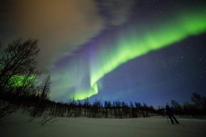 Print Guest Matte-26