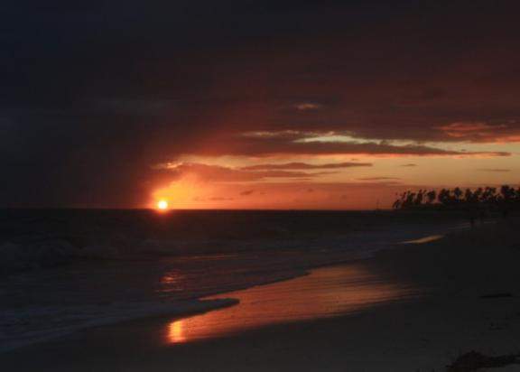 Puinta cana em Dezembro de 2009 II