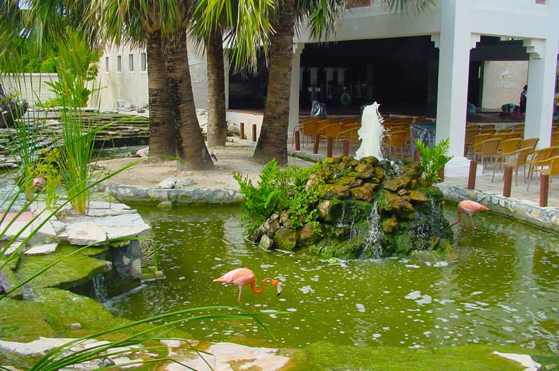 Punta Cana 061