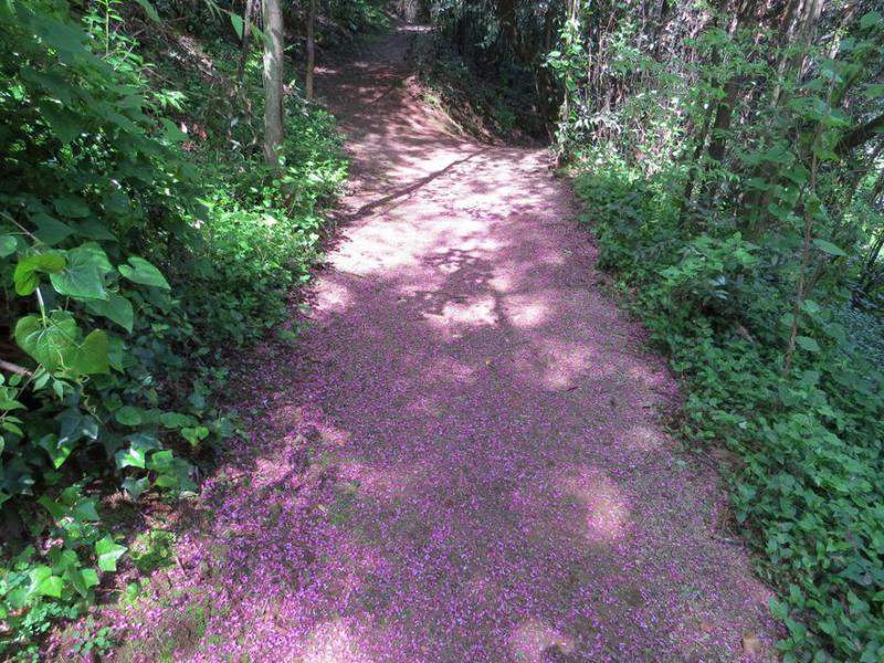 Quinta das Lágrimas