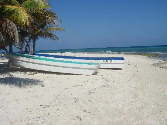 R.Dominicana