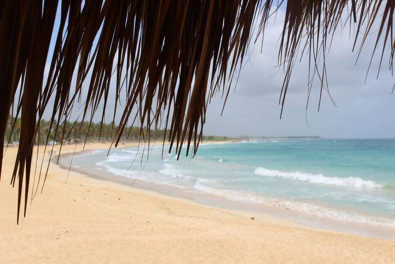 republica dominicana 082