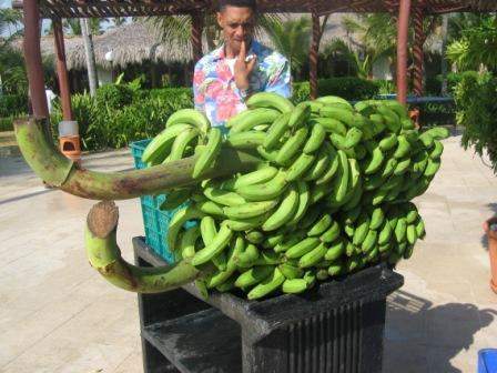 Republica Dominicana