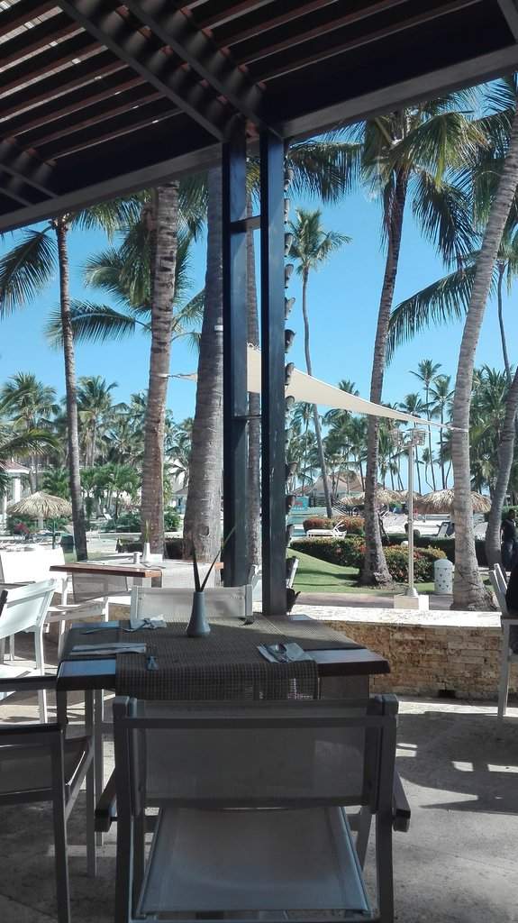 Restaurante Windows