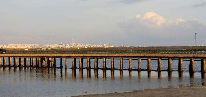 RIA FORMOSA & FARO 093