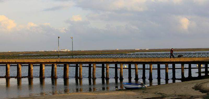 RIA FORMOSA & FARO 095