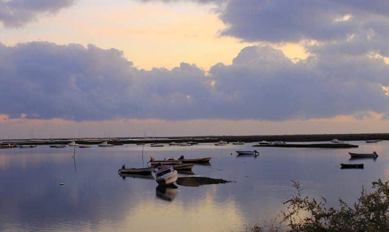 RIA FORMOSA & FARO 202