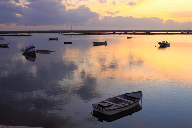 RIA FORMOSA & FARO 207