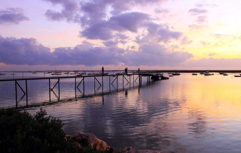 RIA FORMOSA & FARO 221