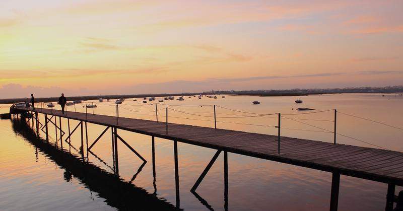RIA FORMOSA & FARO 228