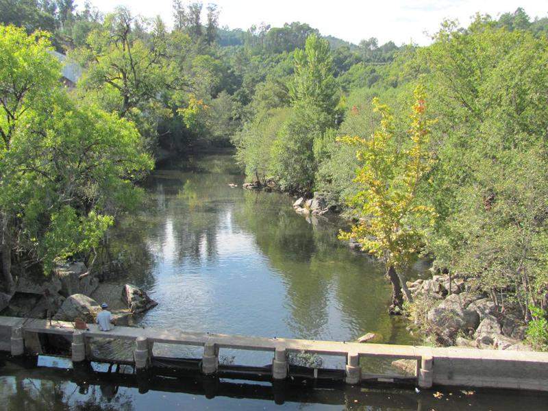 Rio Vouga