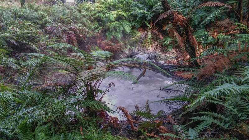 Rotorua-10