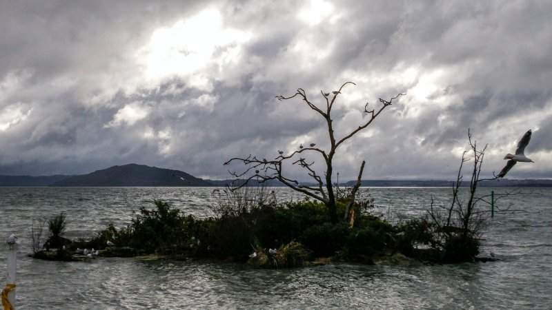 Rotorua-3
