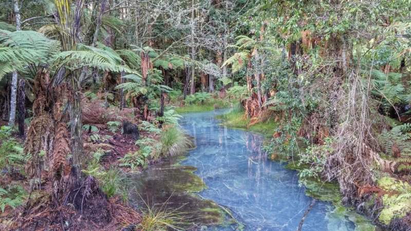 Rotorua-8