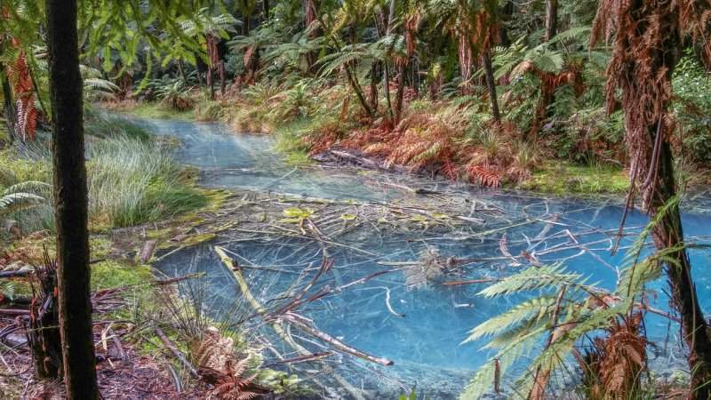 Rotorua-9