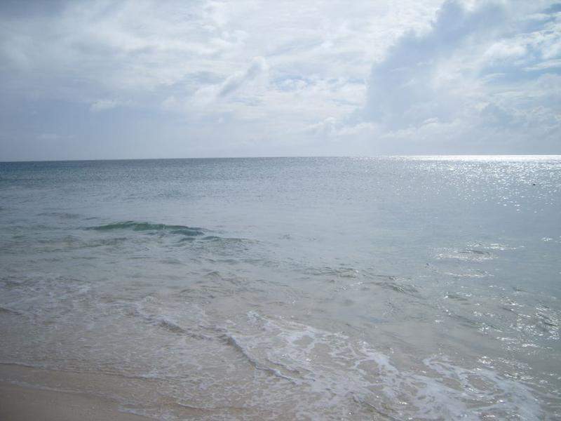 S1036974
