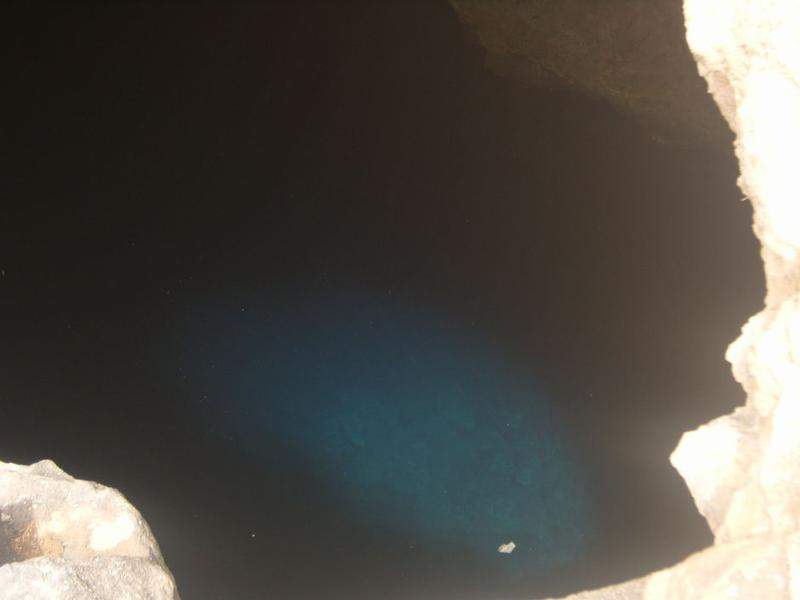 S1037173