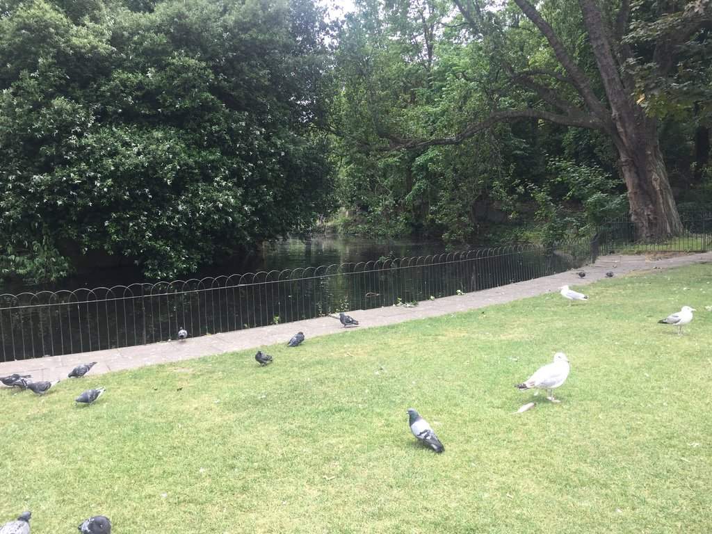 Saint Stephen's Green Park