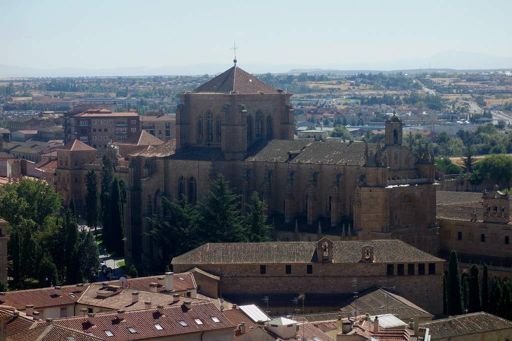 Salamanca 16