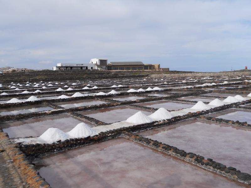 Salinas